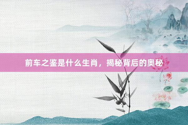 前车之鉴是什么生肖，揭秘背后的奥秘